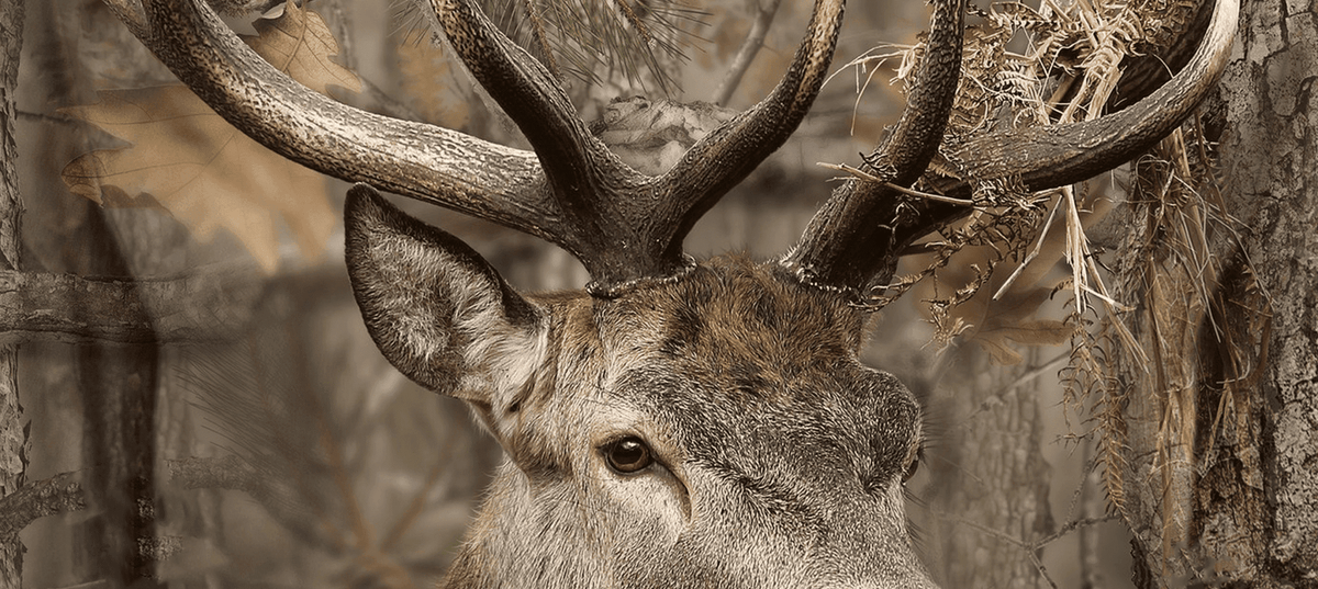 best clothing for roe deer stalking in UK: merino mid layers, quiet and breathable hunting jackets, trousers, boots