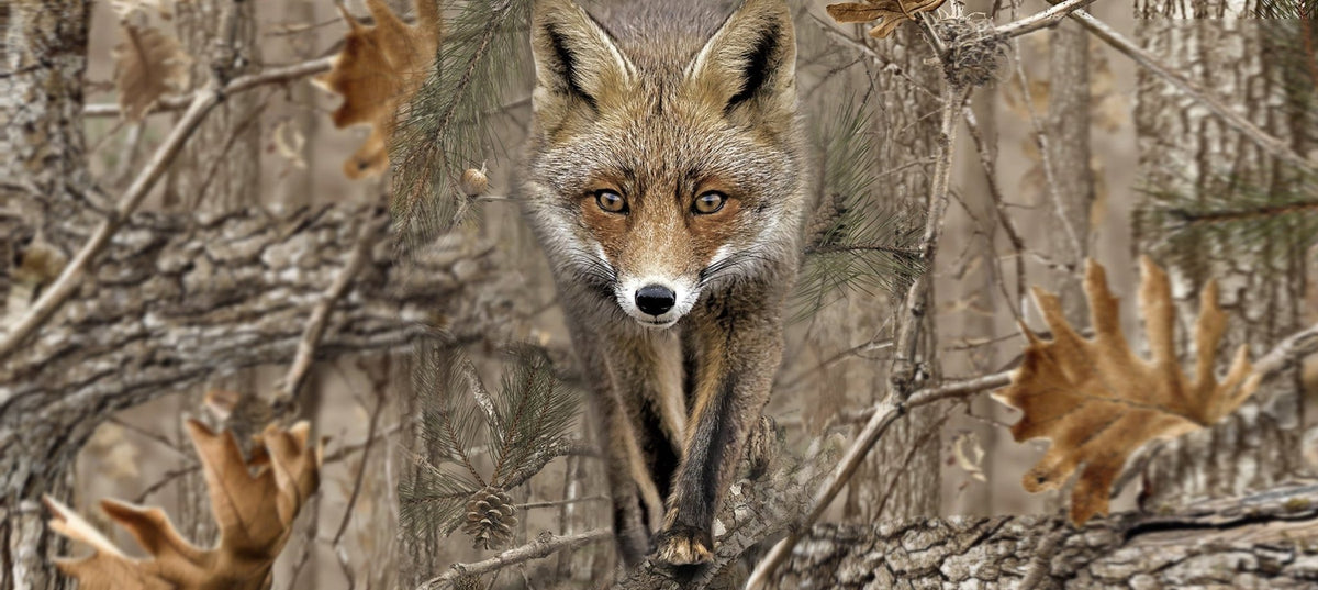 winter foxing in stillness, night fox hunting: fox behaviour, fox shooting positioning, warm waterproof clothing for cold weather, insulated outerwear