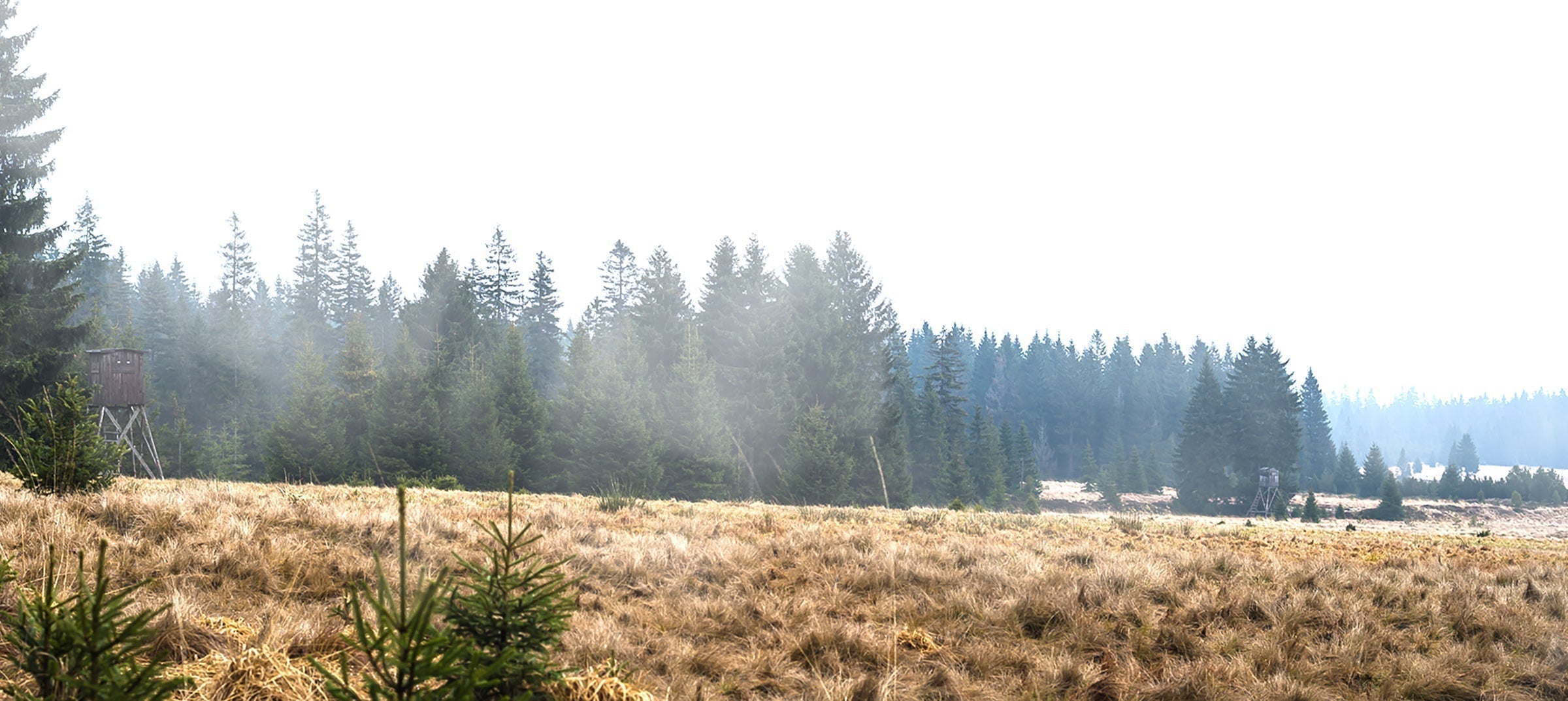roe buck stalking, quiet stalking clothing: roe deer hunting boots, jackets, trousers, first light roe stalking