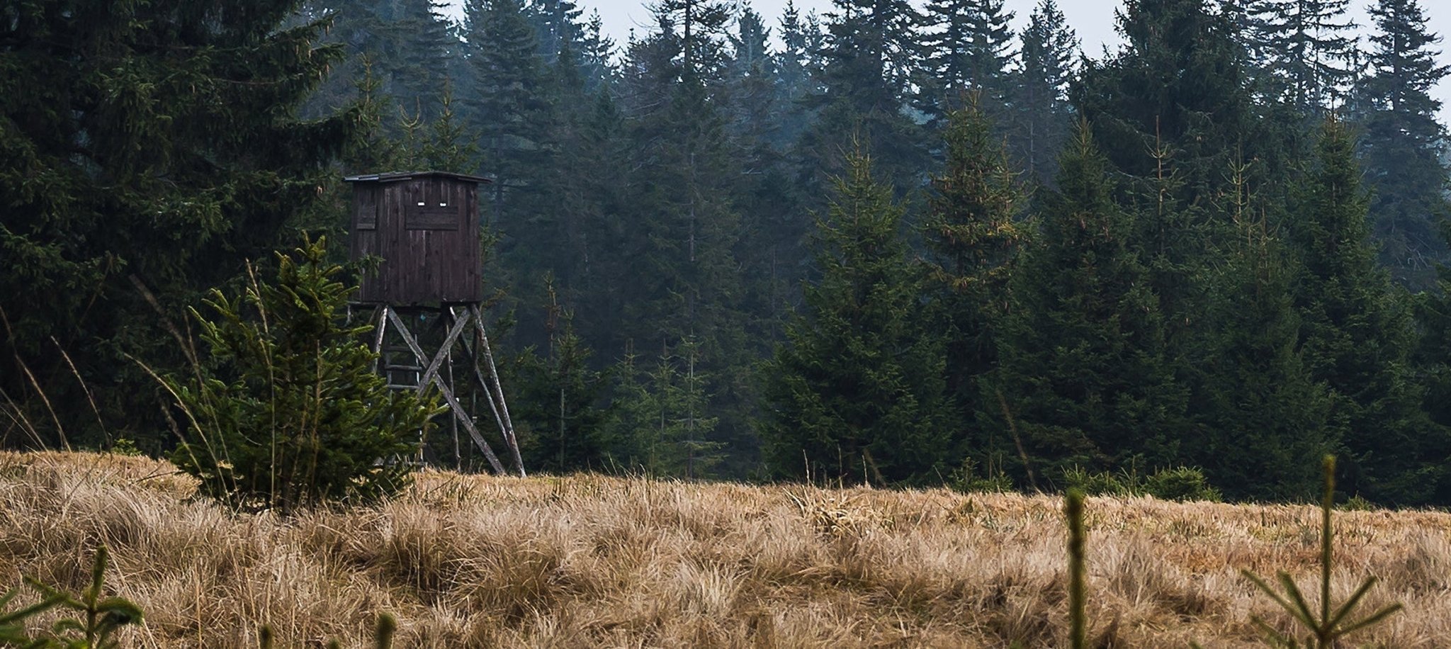 what to wear for high seat hunting in UK: layering windproof waterproof shooting jackets insulated base, mid layers, boots