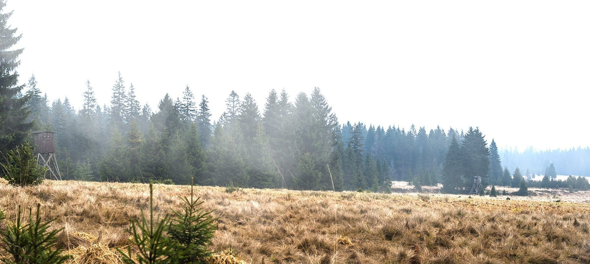 summer roe stalking clothing, roe buck stalking clothes: roe deer stalking clothing UK, lightweight stalking trousers, breathable stalking jacket, warm weather stalking gear