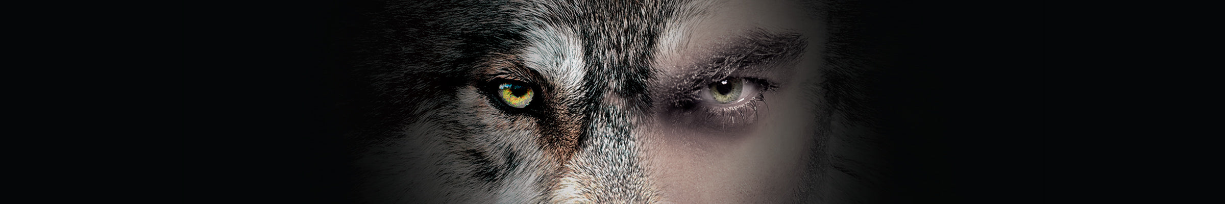 Close-up of a wolfs eye on the left merging into a human eye on the right, symbolizing a connection or similarity between the wild animal and human. The background is dark, emphasizing the eyes.