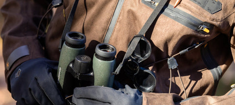 Roost Shooting Woodpigeon: When to Relocate, When to Sit Tight
