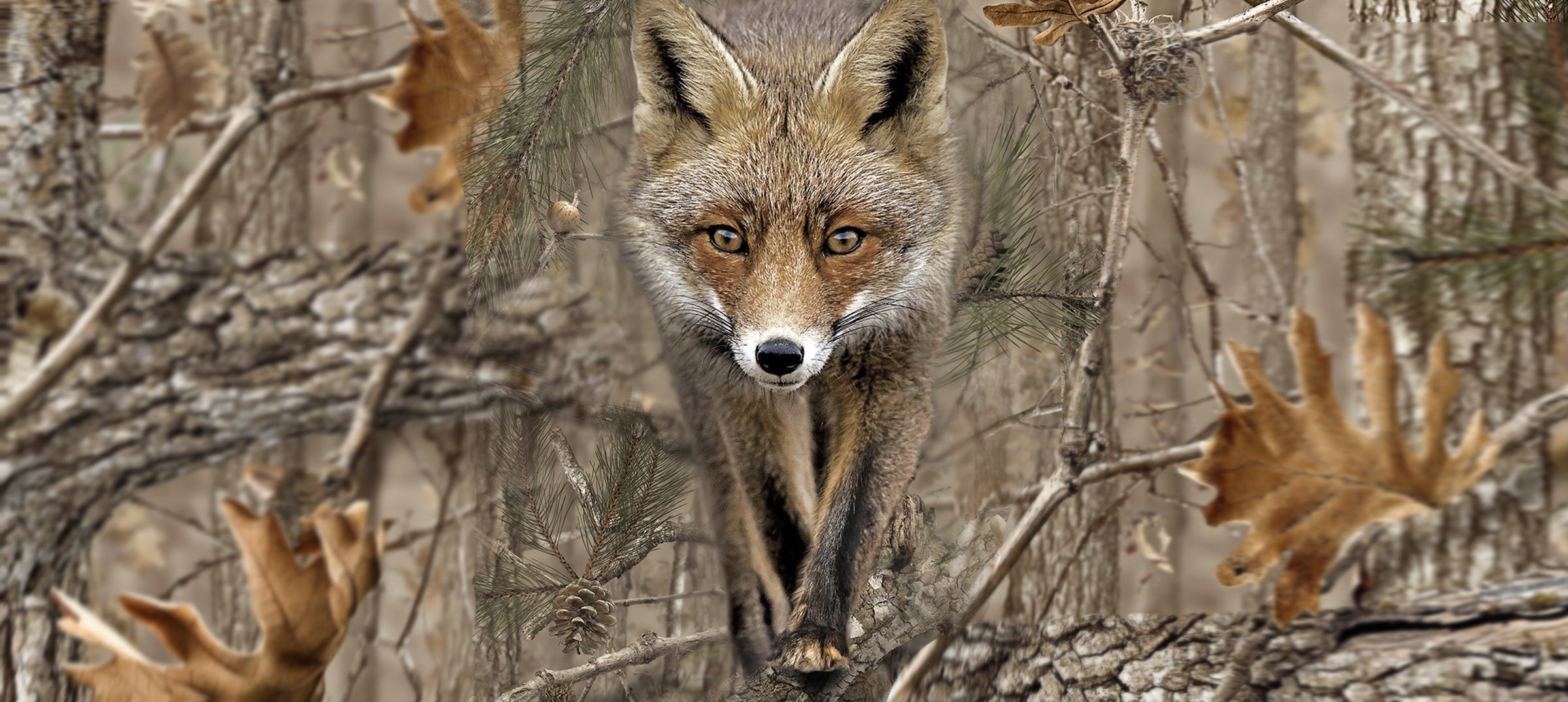 winter foxing in stillness, night fox hunting: fox behaviour, fox shooting positioning, warm waterproof clothing for cold weather, insulated outerwear