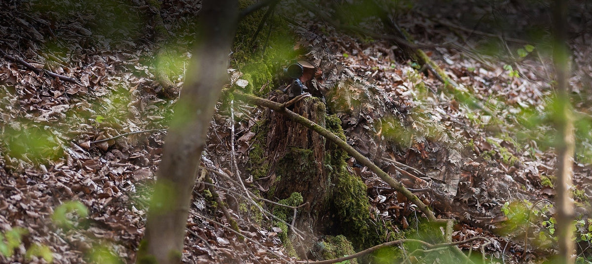 woodland roe stalking: quiet footwear, deer stalking clothing layering, waterproof boots for roe buck
